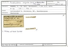 Karteikarte zum Belegmaterial von Frondicularia angusta (Nilsson, 1826)